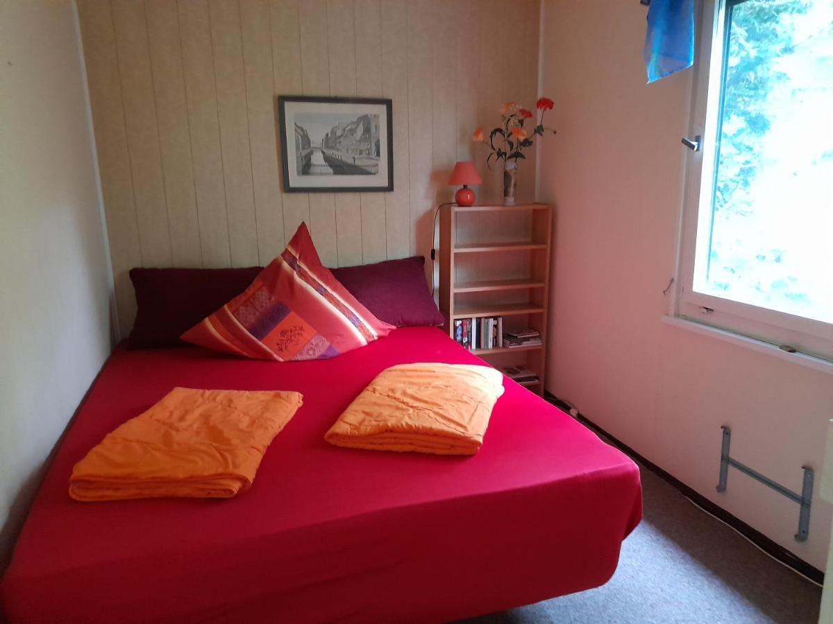 הוילה Dahlen Bungalow Am Waldbad מראה חיצוני תמונה