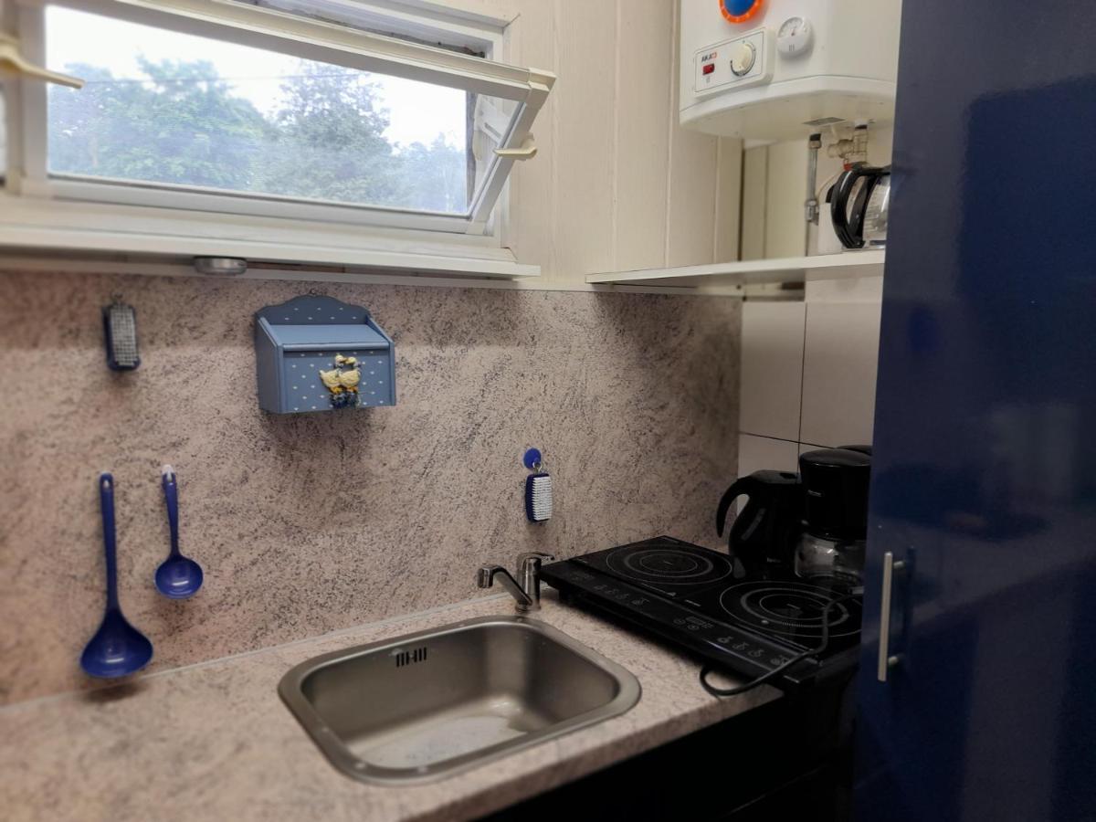 הוילה Dahlen Bungalow Am Waldbad מראה חיצוני תמונה